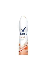 Rexona Deodorant 150 ml Musk Pudrasız