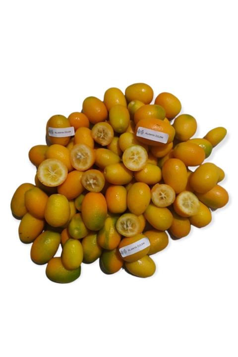 Alanya Özlem Kamkat ( Kumkuat ) Net : 1 Kg
