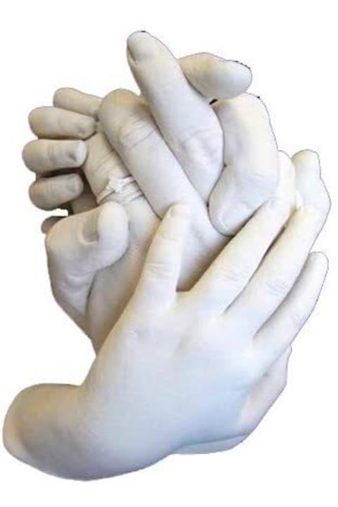 Rainbow 2 Adet Aljinat Kalıp Tozu 453gr