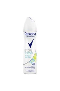 Rexona Stay Fresh Kadın Deodorant 150 ml