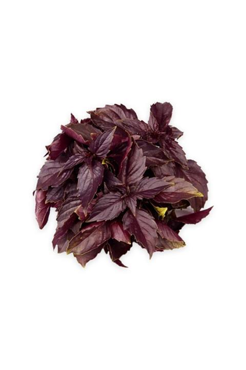 Sebze Meyve Dünyası Taze Reyhan (demet)