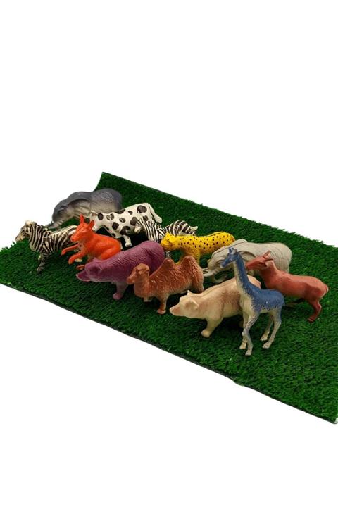 Tek Çatı Animal World Plastik Evcil Ve Yabani Hayvan Serisi 12'li Set (CE BELGELİ)