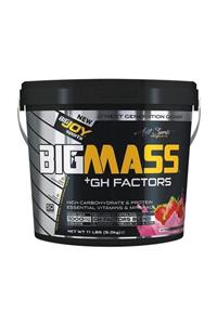 Bigjoy Sports Bigjoy Bigmass Gh Factors Karbonhidrat Tozu 5000 gr - Çilek