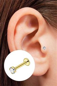 Salyangoz Company Gold Renk Tek Taş Titanyum Tragus Helix Piercing (6mm Mini Boy) Tapıgld1004