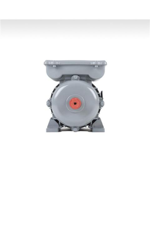 Volt 3 Kw 3000 Devir Monofaze Elektrik Motoru