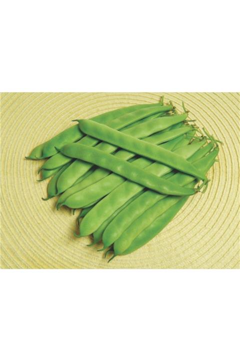 May Volare Bodur Fasülye Tohumu 2kg