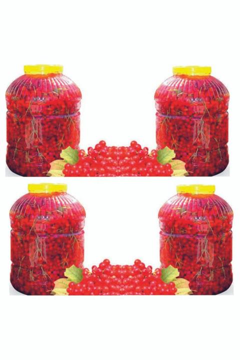 Gilaburu Meyve 4 x 5 l