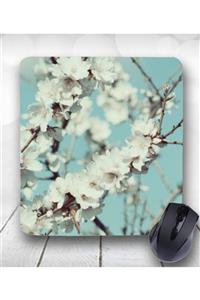 4k tasarım Sakura Çiçek Tasarımlı Kare Mousepad