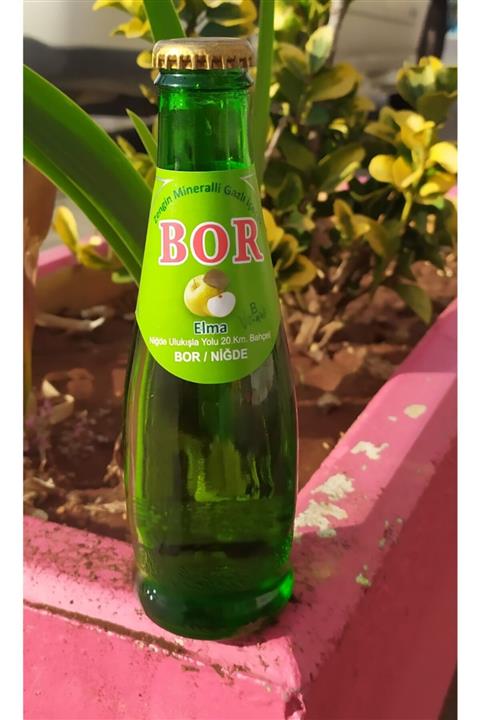 Bor Elmalı B Vitaminli Zengin Mineralli Maden Suyu 200 cc (24'lu)