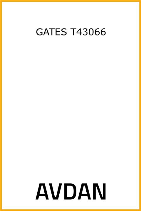 AAVDAN Eksantrık Gergı Rulmanı