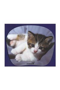 Tucano Mpbox-ref-09 Natura Mouse Pad Yavru Kedi