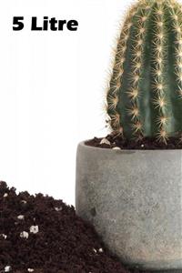 HB BOTANIC Özel Karışım Kaktüs Toprağı / 5 Litre Cactus, Sukulent Toprağı