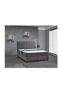 DGS Comfort Sleep Comfort Glorya Tek Kişilik Yatak Baza Başlık 120x200