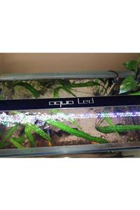 Aqualed Aquaplant Full Spectrum 150 cm 4 Renk Özel Akvaryum Aydınlatma