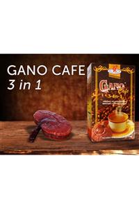 Ganoderma Ganocafe 3'ü 1 Arada Kahve