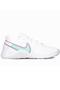 Nike Legend Essential 2 Kadın Spor Ayakkabı Cq9545-100