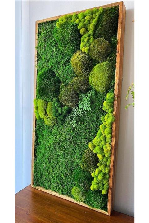 Archimoss Design Yosun Tabla