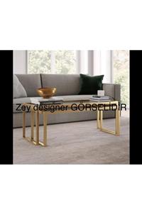 zey designer Gold Metal Ikili Orta Sehpa