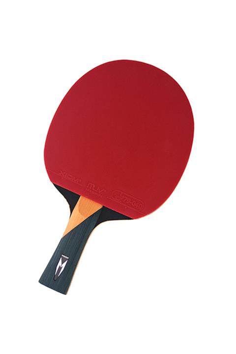 XIOM Masa Tenisi Raketi - ITTF Onaylı - 30762