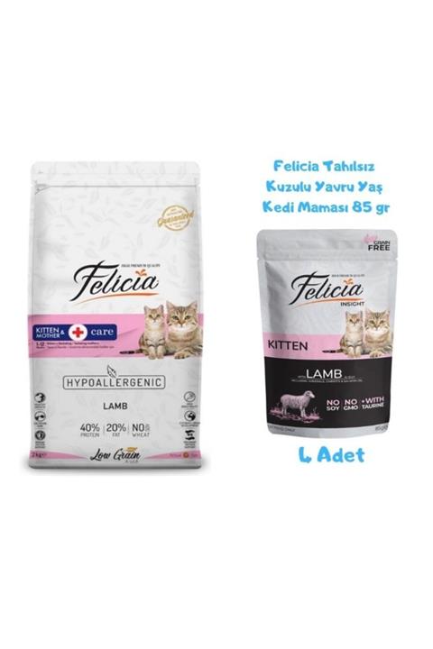 Felicia Kitten Kuzulu Yavru Kedi Maması 2 Kg + Yaş Mama 85 Gr (4 Adet)