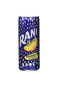 Rani Ananas Parçacıklı Meyve Suyu 250 ml 24’lü