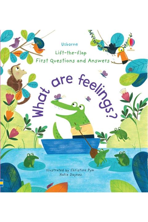 The Milky Books Usborne Lift-the-flap First Questions And Answers What Are Feelings
