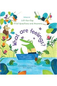 The Milky Books Usborne Lift-the-flap First Questions And Answers What Are Feelings