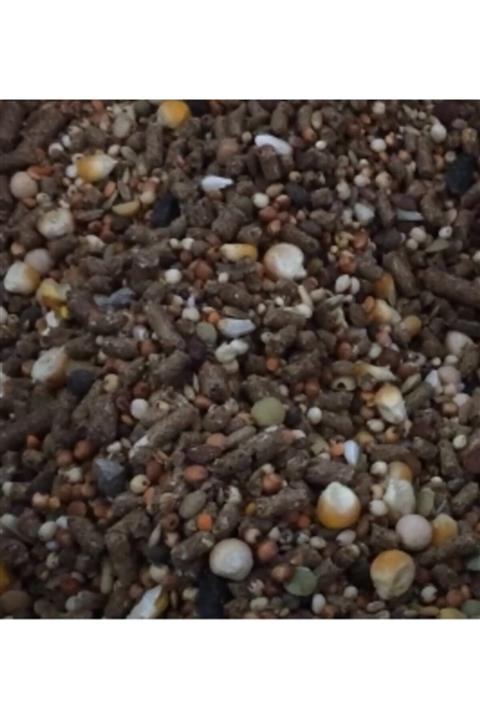 Badem Akvaryum Karışık Kemirgen Yemi Hamster Ginepik Tavşan Yemi 1 Kg