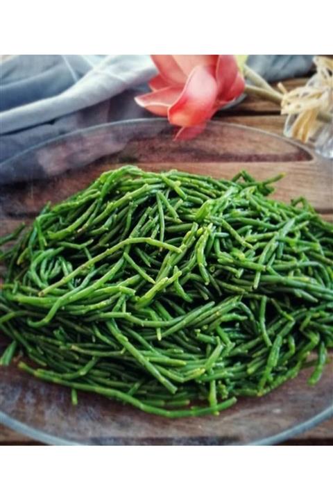 alibabatropikal Deniz Börülcesi