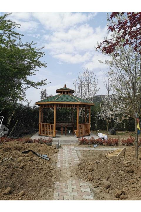 DİZAYN TASARIM YAPI MARKET Ahşap 3x3 Masalı Altıgen Kamelya