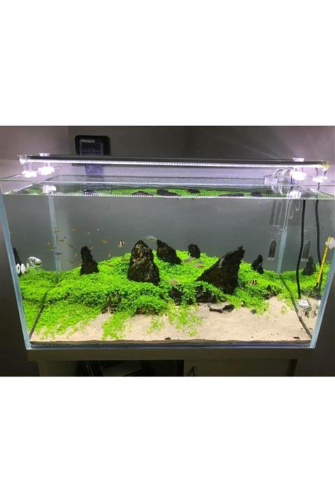 Aqualed 110cm 4 Renk Akvaryum Aydınlatma