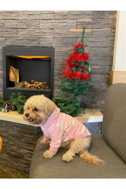 Zeyşil Pati Giyim Şeker Bulutu Kedi Köpek Polar Sweat