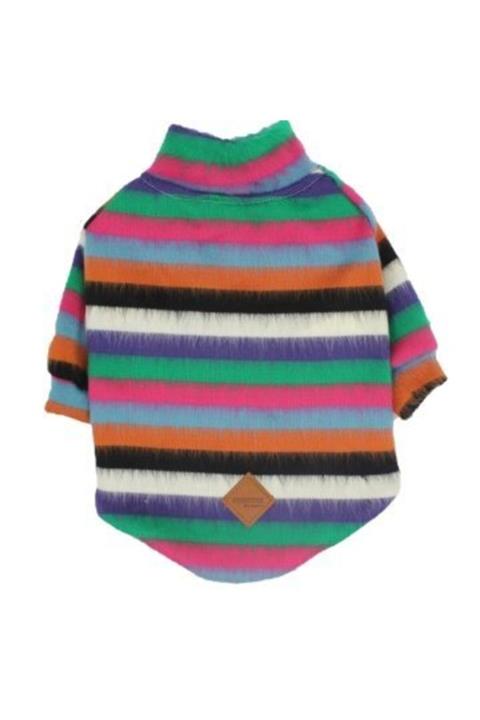 Pawstar Köpek Renkli Balıkçı Yaka Kazak