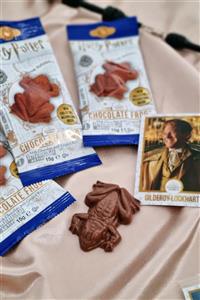 Carpe Harry Potter Chocolate Frog