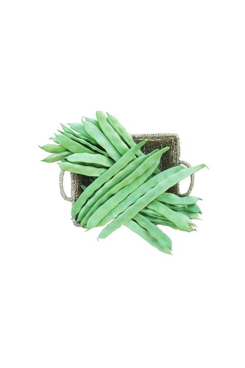 Çam Tohumculuk Alman Kılçıksız Ayşe Kadın Sırık Fasulye Tohumu 15 Adet Tohum Bol Verim Fasülye