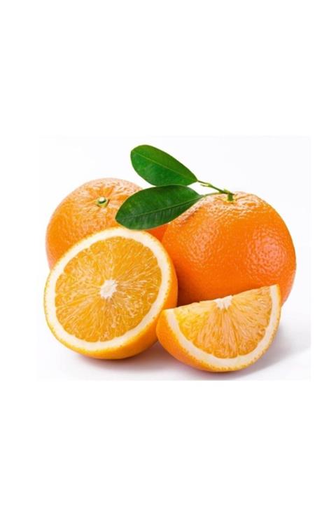 FİDAN SEPETİM 3 Yaş Aşılı Washington Portakal Fidan