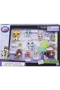 Littlest Pet Shop Miniş Koleksiyoner Seti Yeni Seri Lps Orijinal Lisanslı Minişler Koleksiyoner Seti