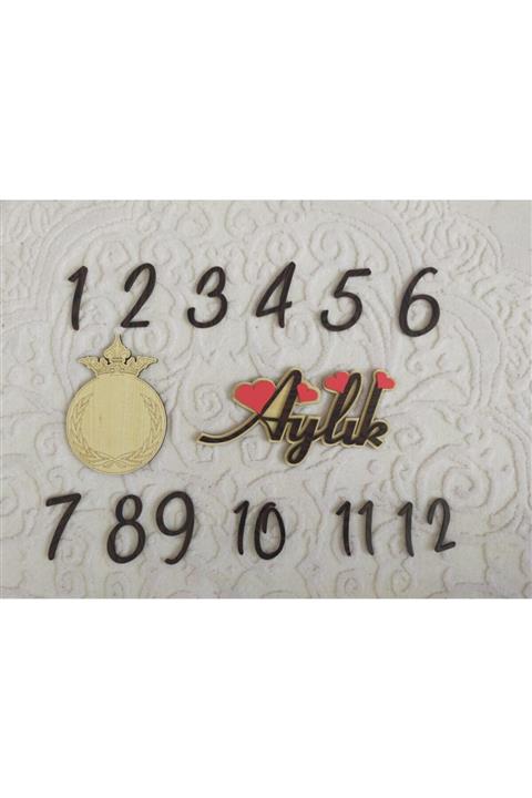 fabrikahşap Ahşap 12 Aylık Anı Plak Kartları Hediyelik