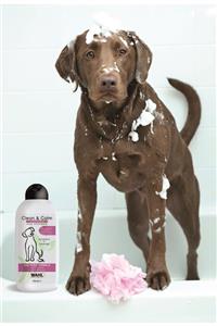 Wahl Clean & Calm Köpek Şampuanı Okaliptus Ve Lavanta Özlü 750 Ml 3999-7030