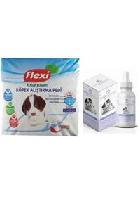 Flexi Köpek Tuvalet Eğitim Seti 10 Ad Ped Ve Alıştırma Damlası.