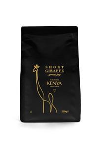 Short Giraffe Kenya Aa