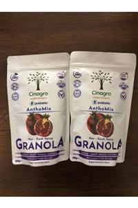 Cinagro Goodies Antosiyaninli Nar Siyah Havuç Anthomix Granola 200 gr X 2