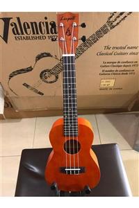 Ahşap el yapım Concert Ukulele Gerçek Ağaç+kılıf