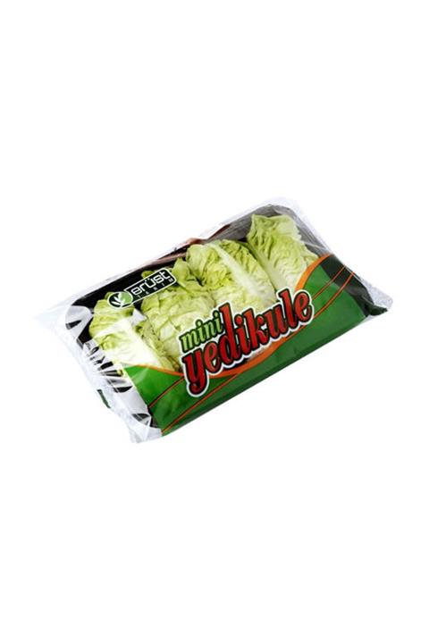 Erüst Marul Yedikule Mini 4'lü