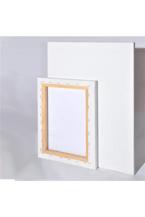 Panda Profesyonel 25x35 Tuval