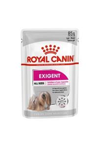 Royal Canin Ccn Mini Exigent Loaf Köpek Konserve Maması 12x85 Gr