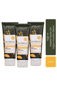 Urban Care Tea Tree Oil & Keratin Saç Bakım Şampuanı 3'lü Avantajlı Paket