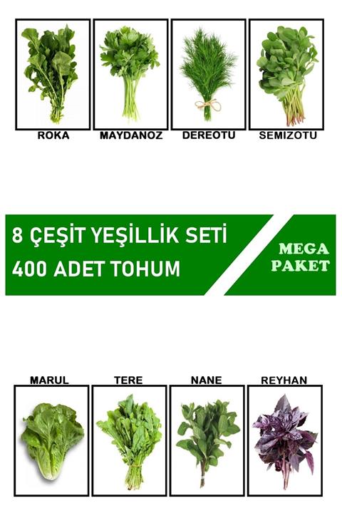 HB BOTANIC Roka, Maydanoz, Dereotu, Tere, Nane, Marul, Semizotu, Reyhan 8'li Set / 400 Adet Tohum