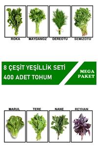 HB BOTANIC Roka, Maydanoz, Dereotu, Tere, Nane, Marul, Semizotu, Reyhan 8'li Set / 400 Adet Tohum