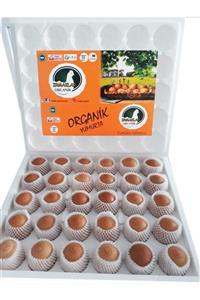 IRMAKLAR ORGANİK YUMURTA 30'lu Orta Boy Organik Yumurta